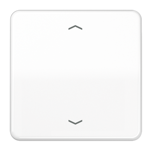 JUNG Центральная плата для вставок управления двигателями