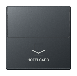 Накладка на карточный выключатель JUNG А-СЕРИЯ, матовый антрацит