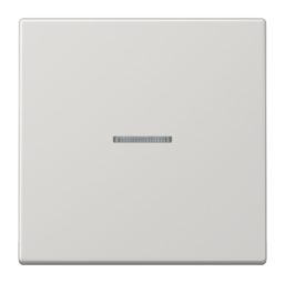 Клавиша с линзой JUNG LS 990, светло-серый