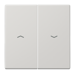 Клавиша для жалюзийного выключателя JUNG LS 990, светло-серый